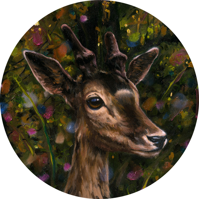 Heiko Müller, Deer, 2013, Oil On Canvas, 40cm