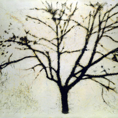 Fuori Registro (albero), 1995, Grafite Su Carta Su Tela, 190x270 Cm