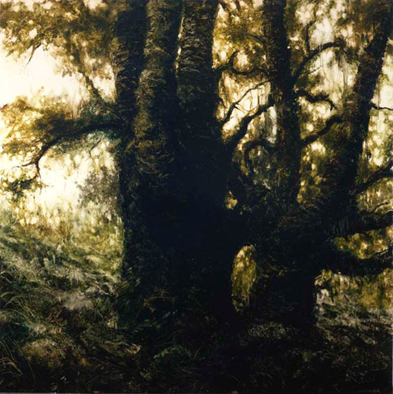 Francesco De Grandi, Senza titolo1, 2008, oil on canvas, 300x300 cm