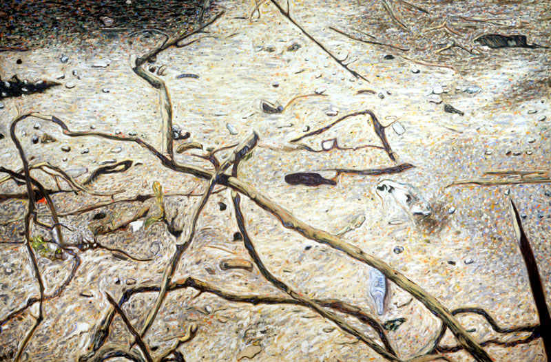 Andrea Salvino, La natura non è merce, 2003, oil on canvas, cm 200x300