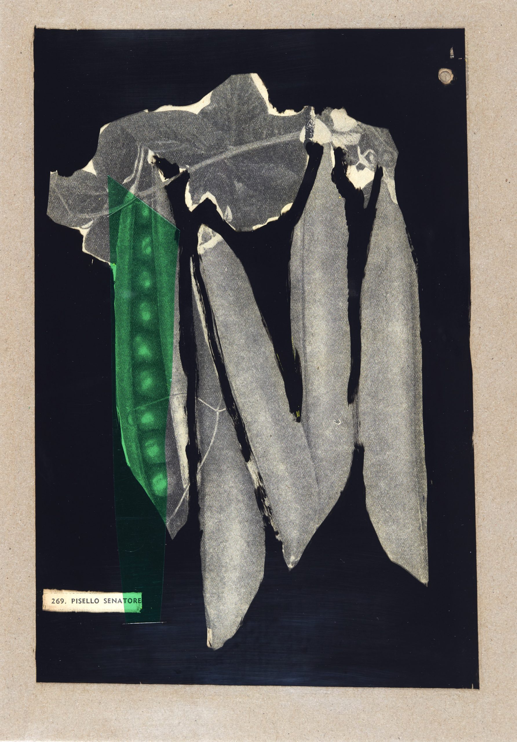 Emi Ligabue, Ingegnoli – Pisello Senatore, 2014, collage su acetato su cartoncino, 29,7×21 cm